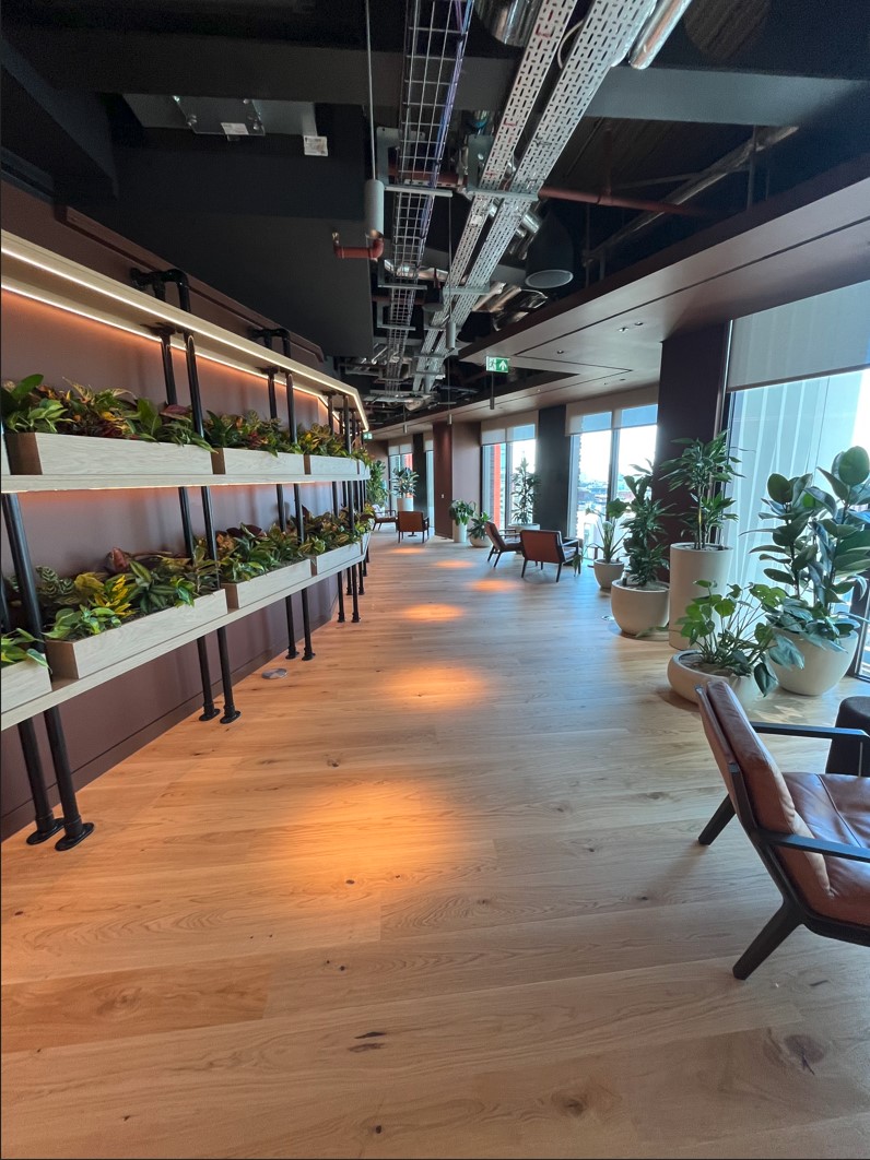 GSK Project Emerald timber flooring